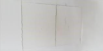 Solar PV module backsheet durability an ...